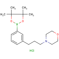 CAS: 1150271-72-9 | OR43574 | 3-[3-(Morpholin-4-yl)propyl]benzeneboronic acid, pinacol ester hydrochloride