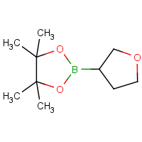 CAS: 331958-90-8 | OR450023 | 4,4,5,5-Tetramethyl-2-(tetrahydro-furan-3-yl)-[1,3,2]dioxaborolane
