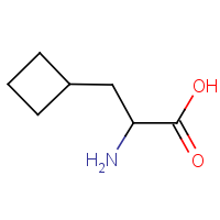 CAS: 4426-06-6 | OR451069 | 3-Cyclobutylalanine