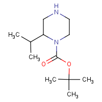 CAS: 886766-25-2 | OR451096 | 1-Boc-2-(1-methylethyl)-piperazine