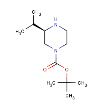 CAS: 928025-63-2 | OR451099 | (R)-1-Boc-3-isopropylpiperazine