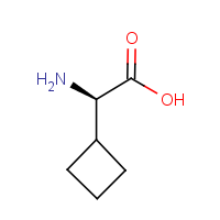 CAS: 49607-10-5 | OR451130 | (R)-2-Cyclobutylglycine
