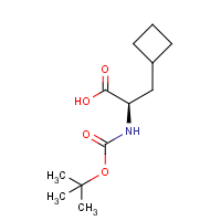 CAS: 478183-61-8 | OR452010 | Boc-(R)-3-Cyclobutylalanine