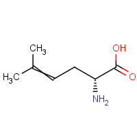 CAS:81177-54-0 | OR452021 | (R)-2-Amino-5-methylhex-4-enoic acid