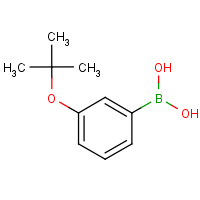 CAS:312931-06-9 | OR46618 | 3-(tert-Butoxy)benzeneboronic  acid