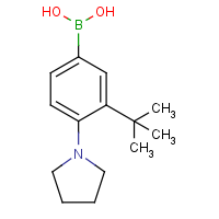 CAS:895543-00-7 | OR46773 | (3-tert-Butyl-4-pyrrolidin-1-ylphenyl)boronic acid