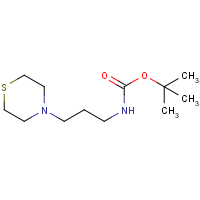 CAS: 454701-66-7 | OR470247 | N-Boc-3-thiomorpholinopropylamine