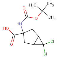 CAS: 1134759-39-9 | OR470360 | 3-(Boc-amino)-6,6-dichlorobicyclo[3.1.0]hexane-3-carboxylic acid