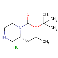 CAS: 1217449-00-7 | OR470453 | (R)-1-Boc-2-propylpiperazine hydrochloride