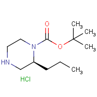 CAS: 1217478-55-1 | OR470454 | (S)-1-Boc-2-propylpiperazine hydrochloride