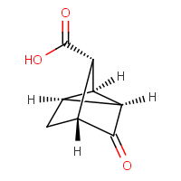 CAS: 52730-40-2 | OR470726 | (1R,2S,3S,4S,6R)-rel-5-Oxotricyclo[2.2.1.02,6]heptane-3-carboxylic acid