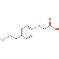 CAS: 55458-77-0 | OR470900 | 2-[4-(2-Aminoethyl)phenoxy]acetic acid