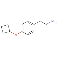 CAS: 1554206-32-4 | OR470902 | 2-(4-Cyclobutoxyphenyl)ethylamine