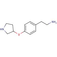 CAS: 1000507-30-1 | OR470906 | 2-[4-(Pyrrolidin-3-yloxy)phenyl]ethylamine