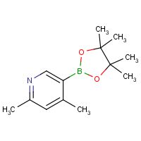 CAS: 1622217-32-6 | OR470924 | 4,6-Dimethylpyridine-3-boronic acid Pinacol Ester
