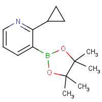 CAS: 2098215-65-5 | OR470925 | 2-Cyclopropylpyridine-3-boronic acid Pinacol Ester
