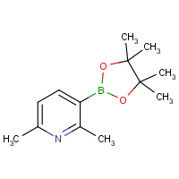 CAS: 693774-10-6 | OR470942 | 2,6-Dimethylpyridine-3-boronic acid Pinacol Ester