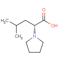 CAS: 2006286-93-5 | OR471420 | (R)-4-Methyl-2-(1-pyrrolidinyl)pentanoic acid