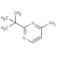 CAS: 114362-20-8 | OR471697 | 4-Amino-2-(tert-butyl)pyrimidine