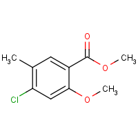 CAS: 1368228-61-8 | OR471719 | Methyl 4-chloro-2-methoxy-5-methylbenzoate