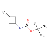 CAS:130369-04-9 | OR480264 | (3-Methylenecyclobutyl)carbamic acid tert butyl ester