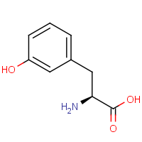 CAS: 587-33-7 | OR480304 | L-meta-Tyrosine