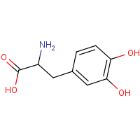 CAS:63-84-3 | OR480320 | 3,4-Dihydroxy-DL-phenylalanine