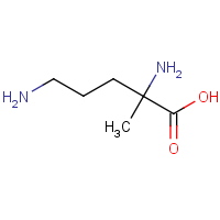 CAS: 712258-42-9 | OR480370 | 2,5-diamino-2-methyl-pentanoic acid