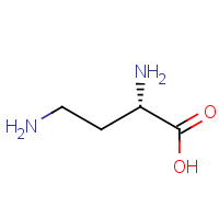 CAS:1758-80-1 | OR480381 | (2S)-2,4-Diaminobutanoic acid