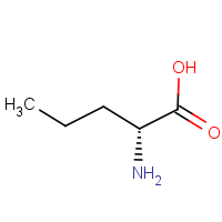 CAS:2013-12-9 | OR480394 | (2R)-2-aminopentanoic acid