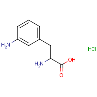 CAS:28101-74-8 | OR480408 | 2-Amino-3-(3-aminophenyl)propanoic acid hydrochloride