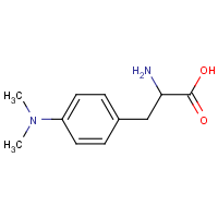 CAS: 7284-42-6 | OR480435 | 2-amino-3-[4-(dimethylamino)phenyl]propanoic acid