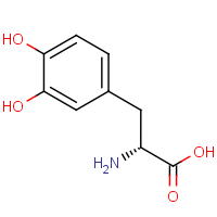 CAS: 5796-17-8 | OR480436 | (2R)-2-Amino-3-(3,4-dihydroxyphenyl)propanoic acid