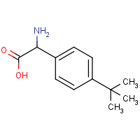 CAS: 299165-27-8 | OR480452 | 2-Amino-2-(4-tert-butylphenyl)acetic acid