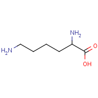 CAS:70-54-2 | OR480475 | 2,6-Diaminohexanoic acid
