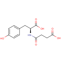 CAS: 374816-32-7 | OR480811 | 4-[[(1S)-2-Hydroxy-1-[(4-hydroxyphenyl)methyl]-2-oxo-ethyl]amino]-4-oxo-butanoic acid