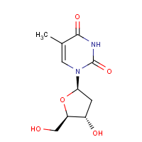 CAS: 50-89-5 | OR4884 | 2'-Deoxythymidine