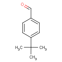 CAS:939-97-9 | OR4973 | 4-tert-Butylbenzaldehyde