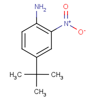 CAS: 6310-19-6 | OR4982 | 4-(tert-Butyl)-2-nitroaniline