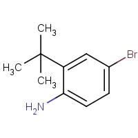 CAS: 850012-44-1 | OR50486 | 4-Bromo-2-tert-butyl-aniline