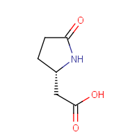 CAS: 61884-75-1 | OR50627 | [(2S)-5-Oxo-2-pyrrolidinyl]acetic acid