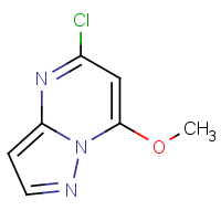 CAS: 1824286-23-8 | OR510062 | 5-Chloro-7-methoxypyrazolo[1,5-a]pyrimidine