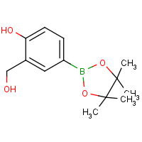 CAS:760989-96-6 | OR510107 | 2-(Hydroxymethyl)-4-(4,4,5,5-tetramethyl-1,3,2-dioxaborolan-2-yl)phenol