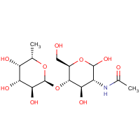 CAS: 76211-71-7 | OR5155T | 2-Acetamido-2-deoxy-4-O-(alpha-L-fucopyranosyl)-D-glucopyranose