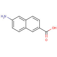 CAS: 116668-47-4 | OR51725 | 6-Amino-2-naphthoic acid