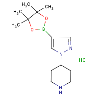 CAS: 1175273-62-7 | OR51751 | 1-(Piperidin-4-yl)-1H-pyrazole-4-boronic acid, pinacol ester hydrochloride