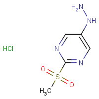 CAS: 343629-62-9 | OR52562 | 5-Hydrazinyl-2-(methylsulfonyl)pyrimidine hydrochloride