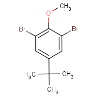 CAS: 132268-08-7 | OR53103 | 2,6-Dibromo-4-tert-butylanisole