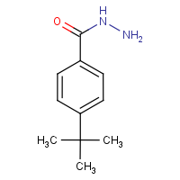 CAS:43100-38-5 | OR5439 | 4-(tert-Butyl)benzhydrazide