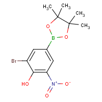 CAS:  | OR54448 | 3-Bromo-4-hydroxy-5-nitrobenzeneboronic acid, pinacol ester